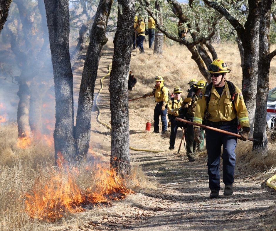 A two-decade experiment in the Sierra Nevada showed that regular prescribed burns help forests store more carbon in large, fire-resistant trees while reducing wildfire hazard.

Key takeaways from the <a href="/UCBerkeley/">UC Berkeley</a> study: 
➡️ Prescribed burns maintain large, fire-resistant trees and