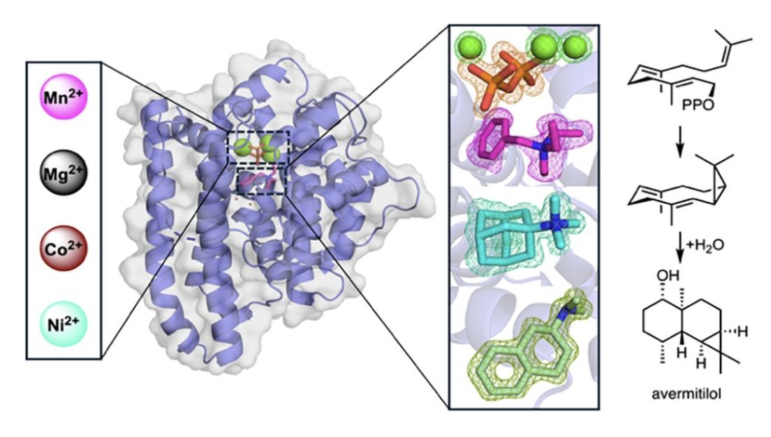 ChristiansonLaboratory tweet media