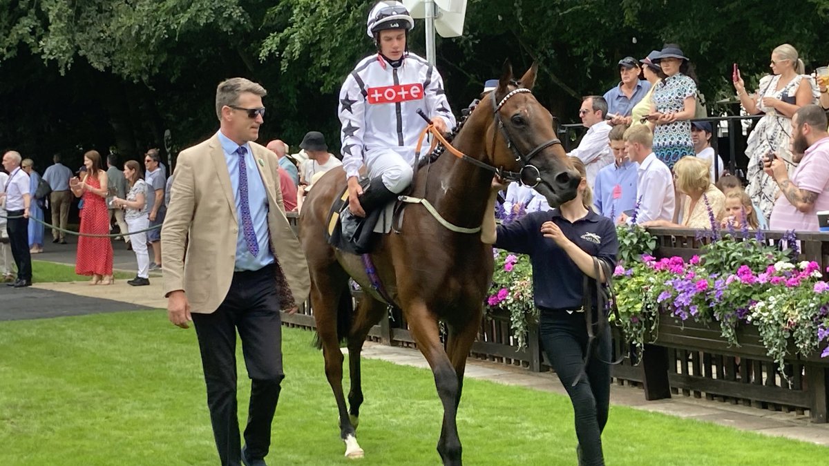 Grant Tuer Racing tweet media