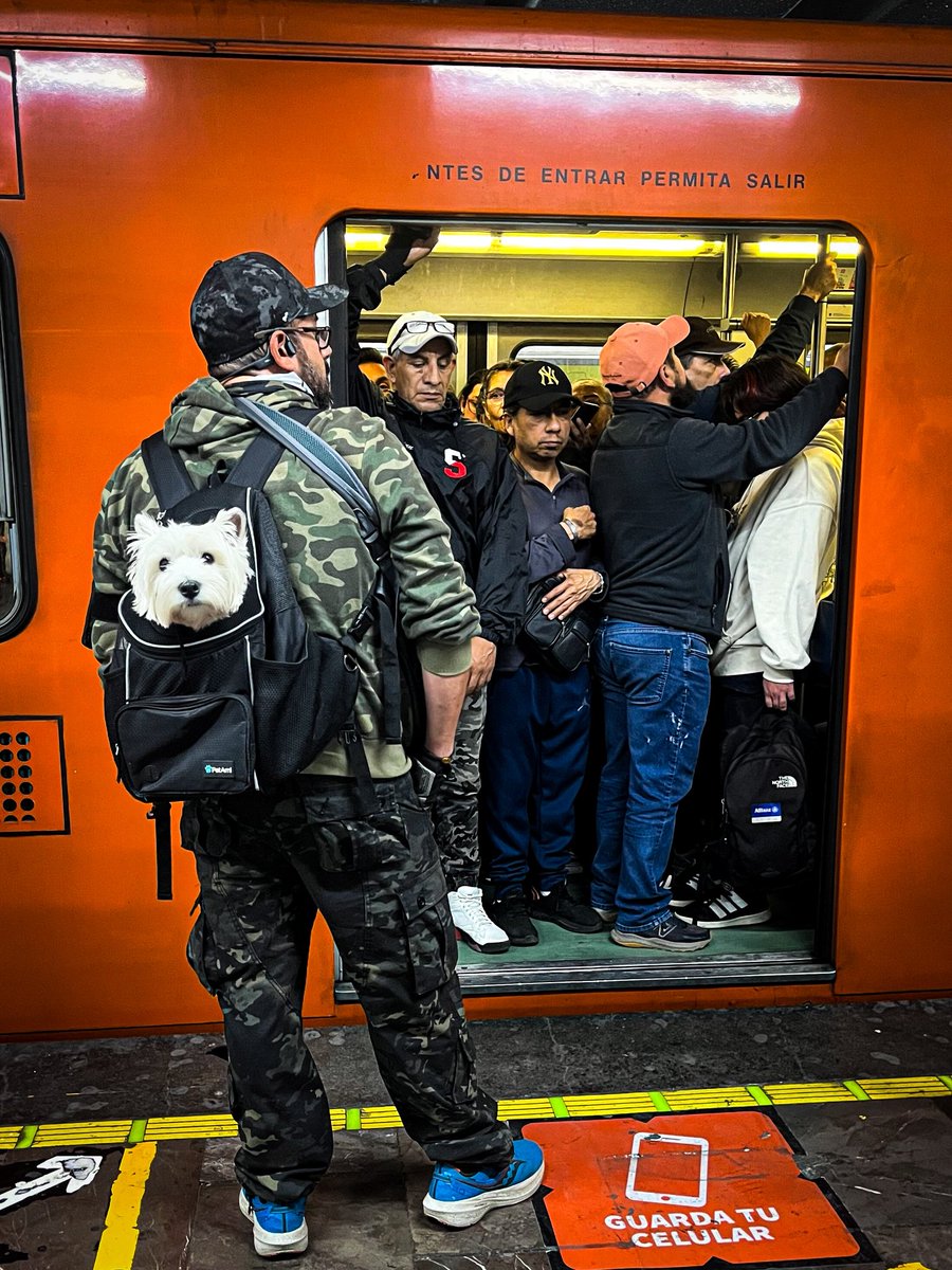 Enrique I. Castillo tweet media