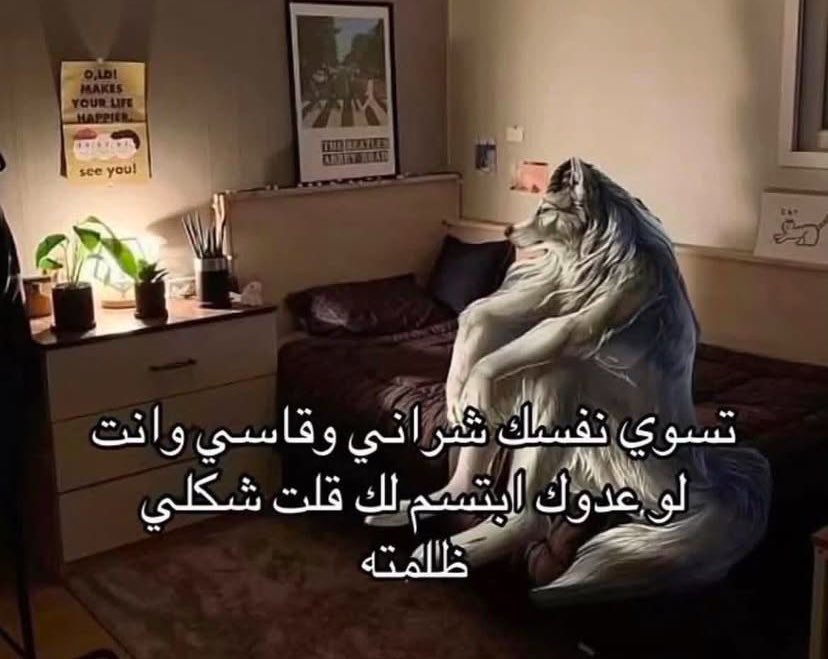 نَ (@xlzxa_) on Twitter photo 