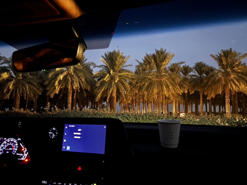 مشهد النـخيل .. ما يضااهيه مشهد❣️🌴