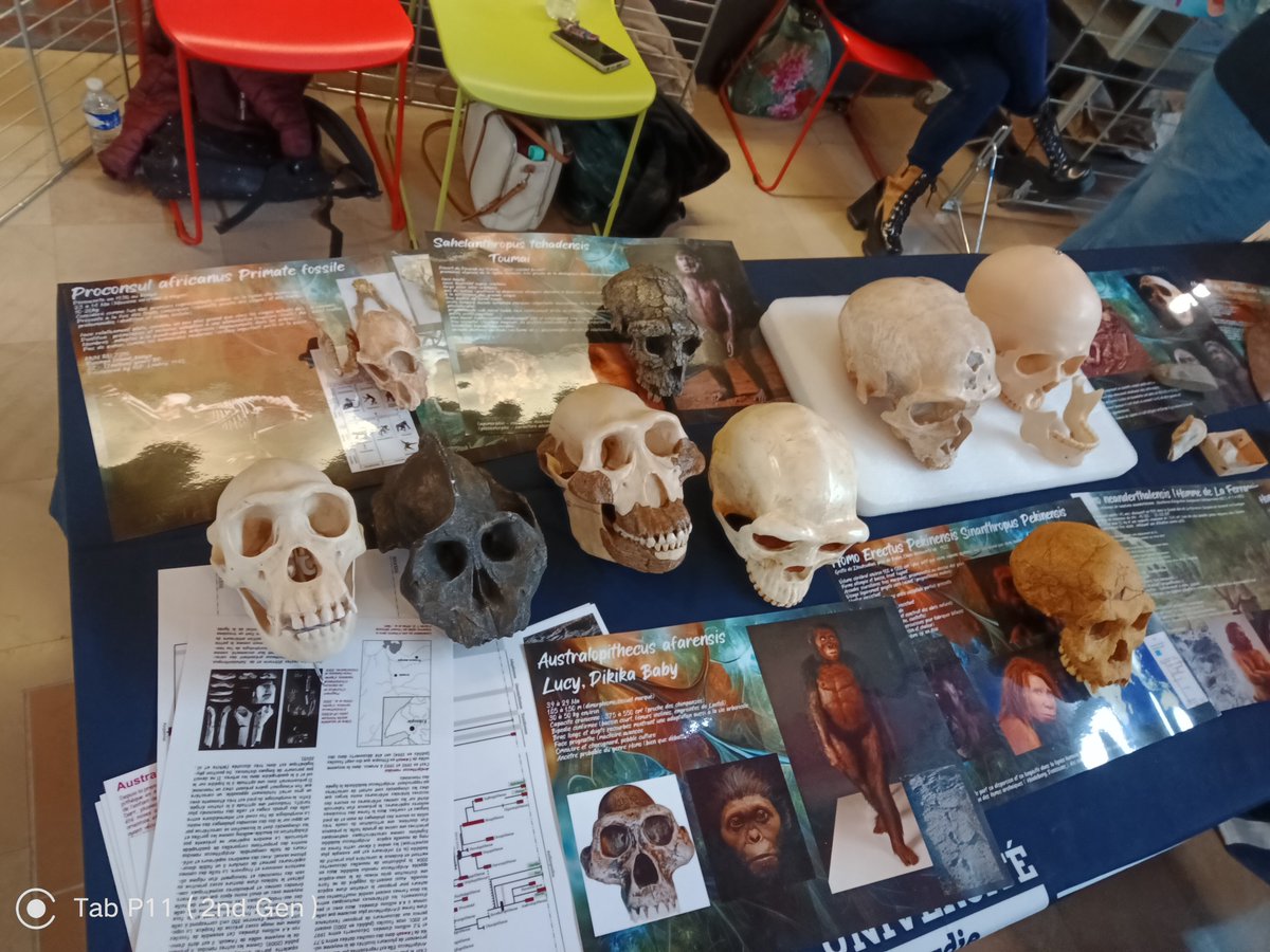 LabomathsSoissons tweet media