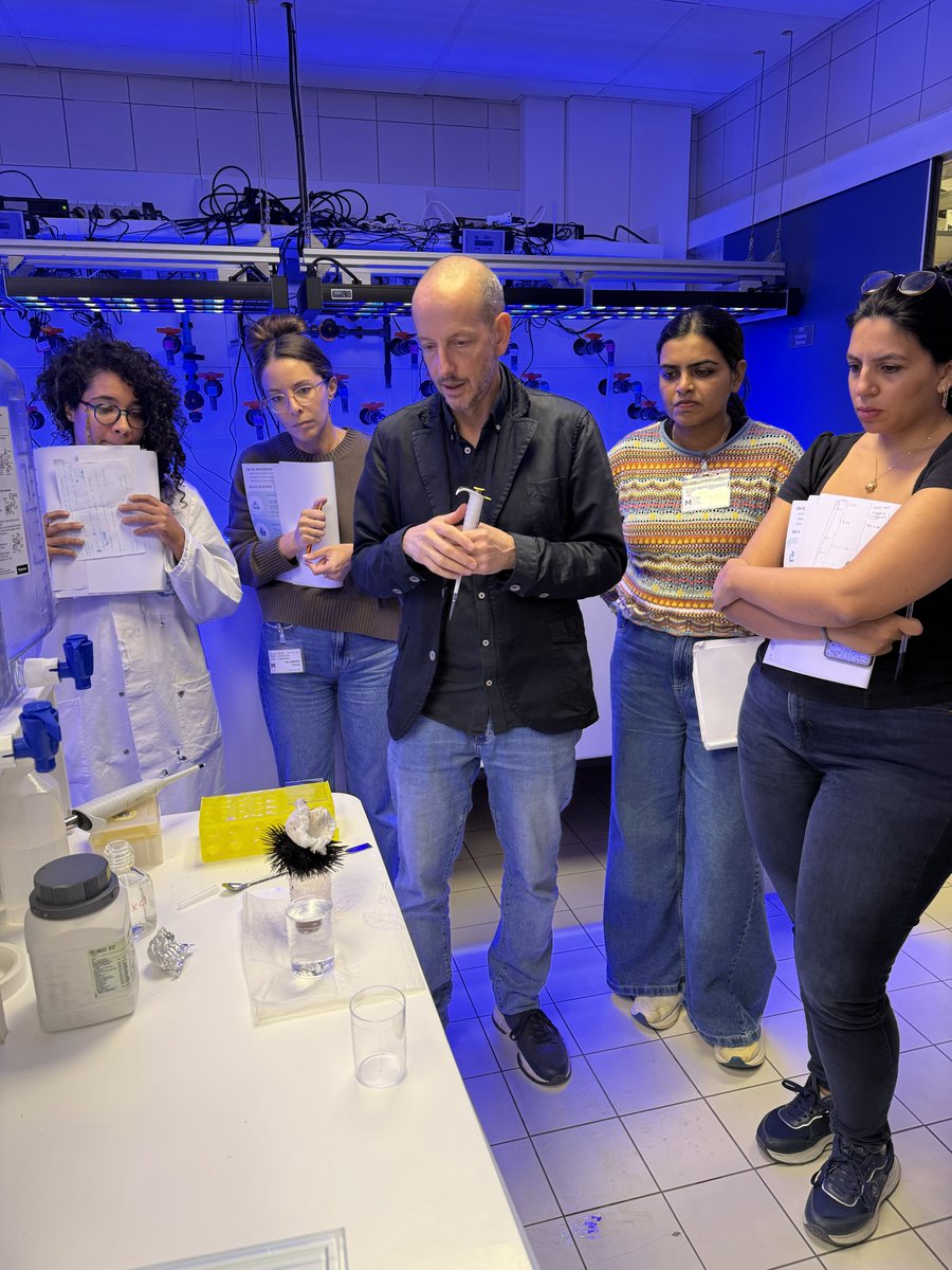 Making a splash! The <a href="/iaeaorg/">IAEA - International Atomic Energy Agency ⚛️</a> OA-ICC’s Winter School on Multiple Stressors with <a href="/FPA2/">FPA2</a> has scientists in the lab today to test the impact of lithium, seawater warming and ocean acidification on sea urchins – a key part of growing global understanding of issues facing #oceanhealth