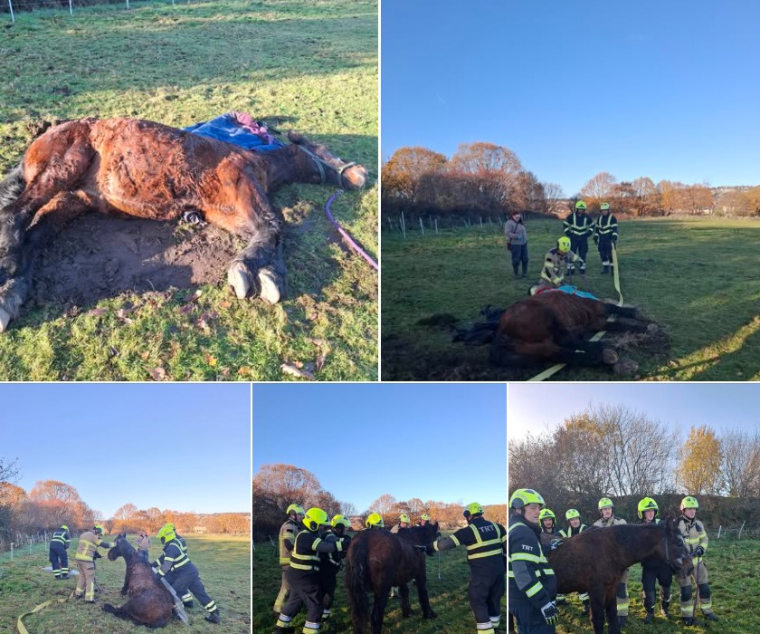 🚨 Not all heroes wear capes, some wear firefighter gear ...