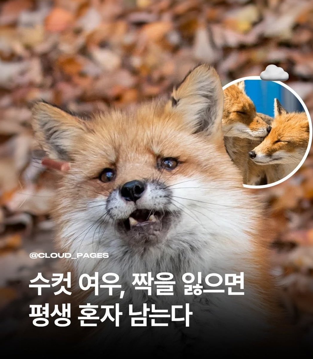 건호야
혁아
원우야
OC야

어우 백년해로 시켜야겠네