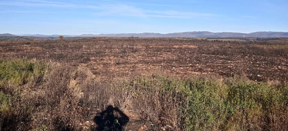 naturalezacyl's tweet photo. Continuamos con las obras de emergencia en los #GIF de este verano. En el #IFPuercas #Zamora, en zonas de matorral quemado, hemos planificado y ejecutado siembras de pastizal para la fauna silvestre y romper continuidad de vegetación en caso de #IIFF #RestauraciónForestal https://t.co/sQOkkMSUPg