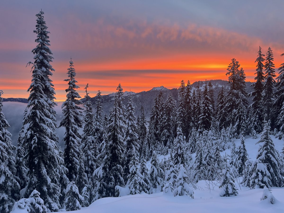 What a time to be alive, stunner of a sunrise above Stevens Pass, WA this morning! #wawx #sunrise