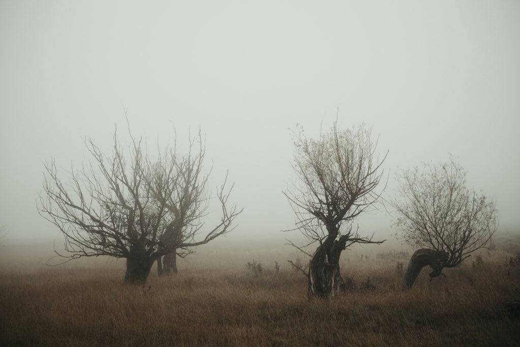 aliz_vekony's tweet image. Hungarian countryside