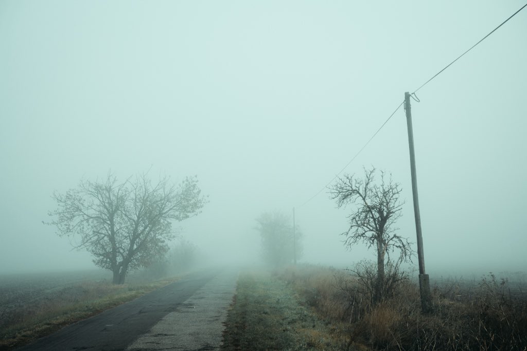 aliz_vekony's tweet image. Hungarian countryside