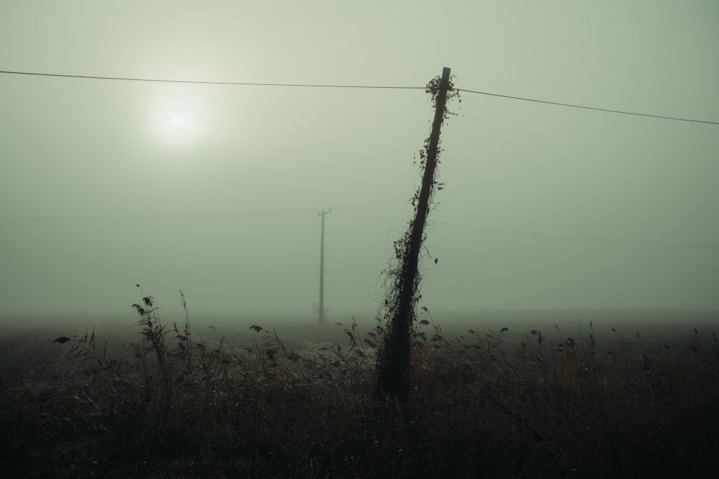 aliz_vekony's tweet image. Hungarian countryside