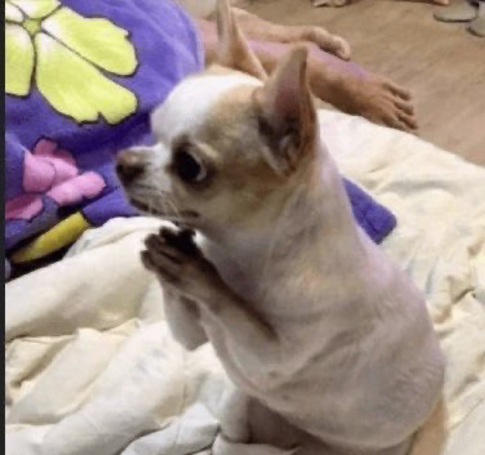 WinDem4Life's tweet image. When 100k followers 🥲

#follo4folloback #Crypto #BTC