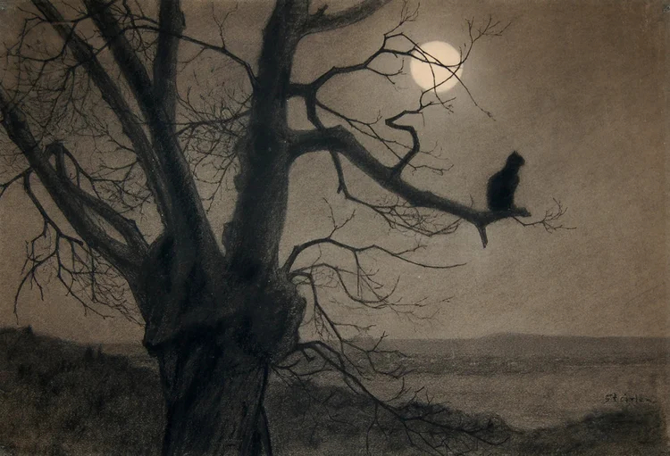 archaeologyart's tweet image. Cat in the Moonlight (Chat au clair de lune). Artist: Théophile Alexandre Steinlen (Swiss/French, 1859–1923). Date: c. 1900. Medium: Charcoal heightened with white chalk on paper.