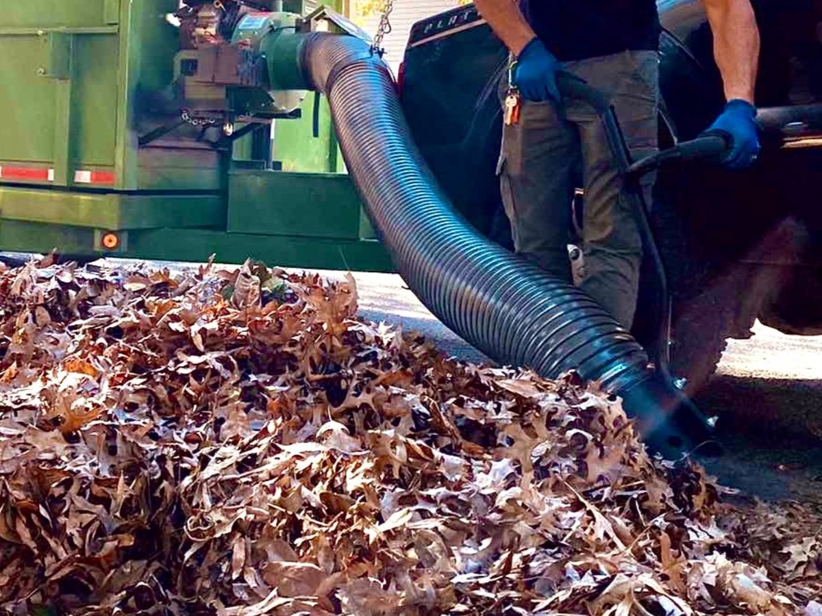 Carolina Turf Lawn and Landscape tweet media