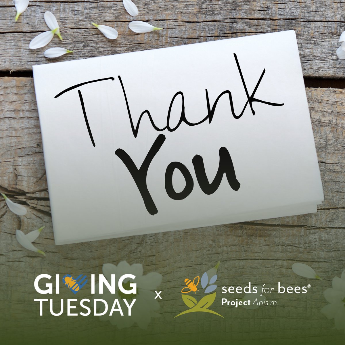 ProjectApism's tweet image. Because of you, we’re growing something beautiful.
 
Together, we raised $775 to plant 7.75 acres of forage for bees through Seeds for Bees®.

🌸 Thank you for helping us plant the future for pollinators and the people who depend on them!

#SeedsForBees #GivingTuesday #PAm