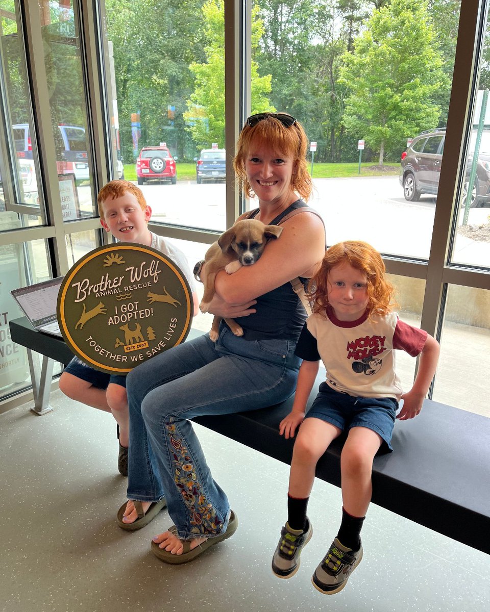 SPCAINT's tweet image. Proud to support @BrotherWolfAnimalRescue's Stay Together program, helping families stay with their pets!

#SPCAI #ShelterSupport #StayTogether #AnimalWelfare