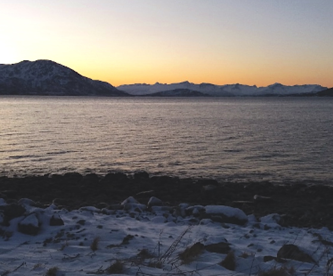 Luther Seminary tweet media