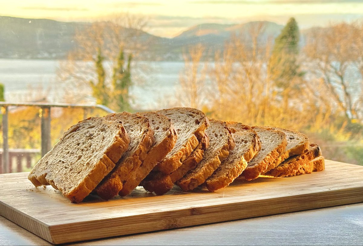 breaditorial's tweet image. Homemade bread, quiet original photos, simple tips for beginners, and a little bread history in this calm corner of X.