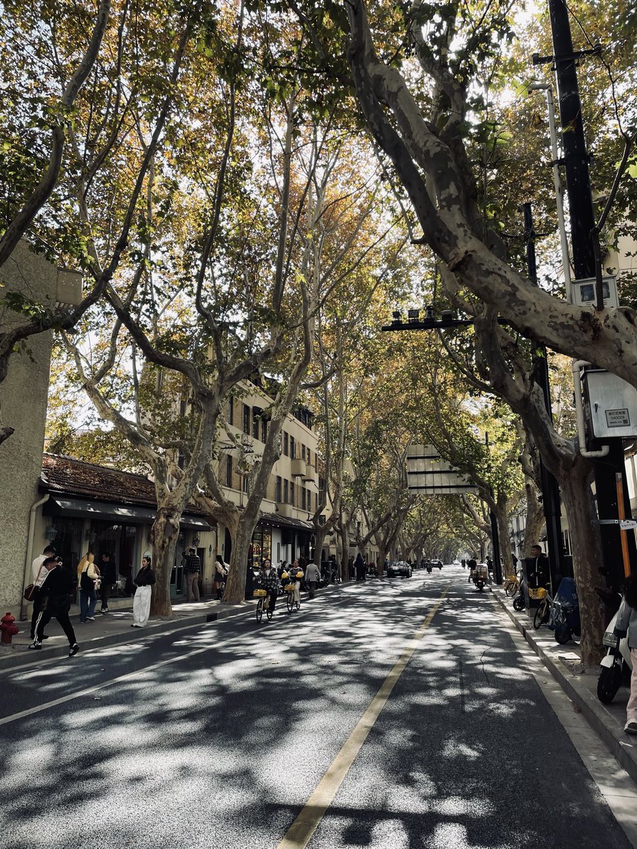 side dish tweet media