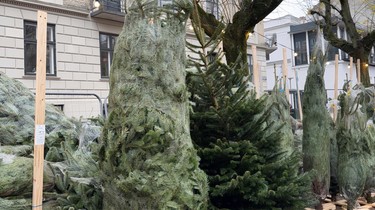 aesthetickyc's tweet image. Wednesday.