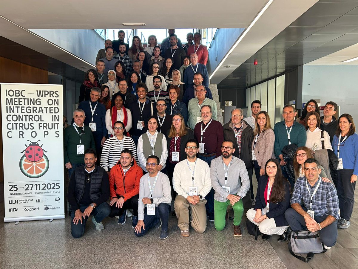 Great participation of the SAFWA project at the IOBC-WPRS meeting on Integrated Control in Citrus Fruit Crops, hosted by UJI and co-organized with IRTA. SAFWA played an active role throughout the event, sharing progress on sustainable pest management across the Mediterranean. 🌱