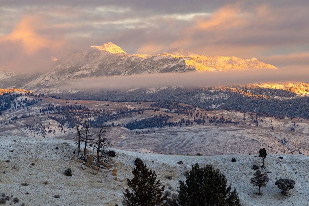 YellowstoneNPS's tweet photo. After a fresh blanket of snow yesterday, we woke up to a beautiful single-digit sunrise in Mammoth. Now we’re keeping our fingers crossed for more snow as we get closer to the start of our winter oversnow season. https://t.co/YNwhrtM5KK