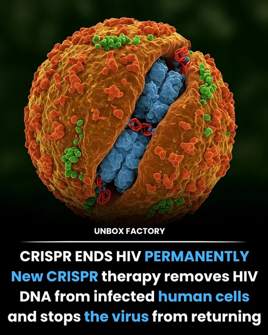 Rainmaker1973's tweet image. The end of HIV infections may be closer than we think.

Scientists cut HIV out of immune cells using CRISPR.

And the cells stayed HIV-free even after re-exposure. A cure could finally be within reach.

In a groundbreaking advance, scientists at Temple University have…