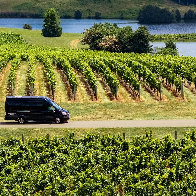 Planning a winter wine getaway? Ride in comfort through Charlottesville’s wine country in our ford transit van. Book your wine tour today! ambassadorlimos.com

#WineTour #LimoService #LuxuryRide