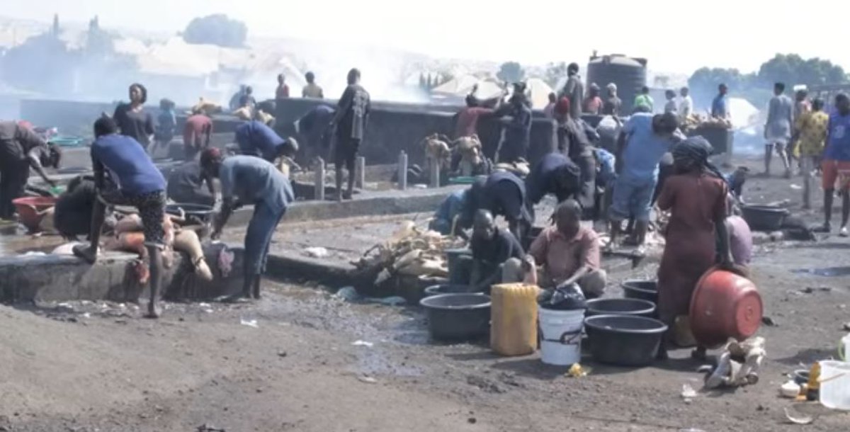 Aktuelle Zahlen des BAMF belegen: Die Asylanten-Zahlen gehen nicht runter. signal-online.de/bamf-legt-aktu…