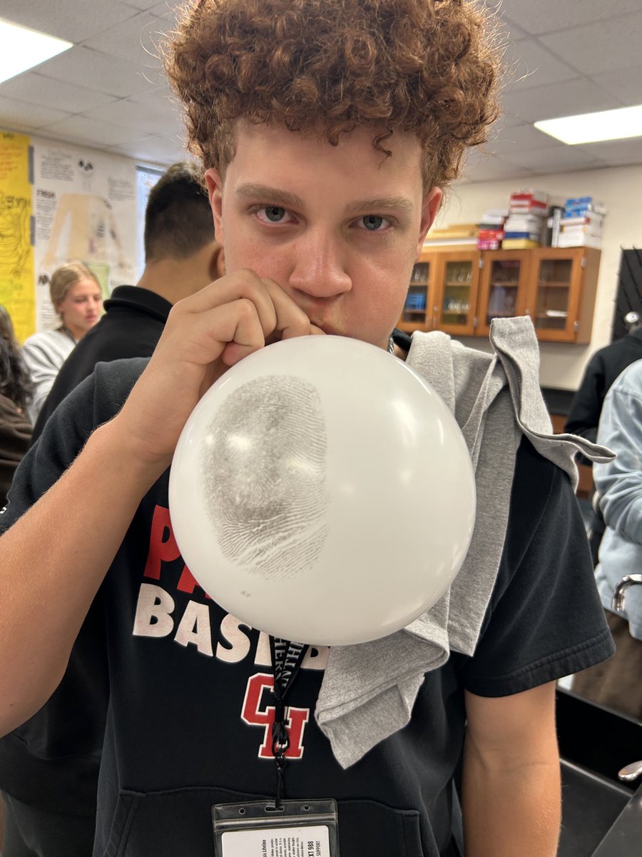 Amanda McCready tweet media