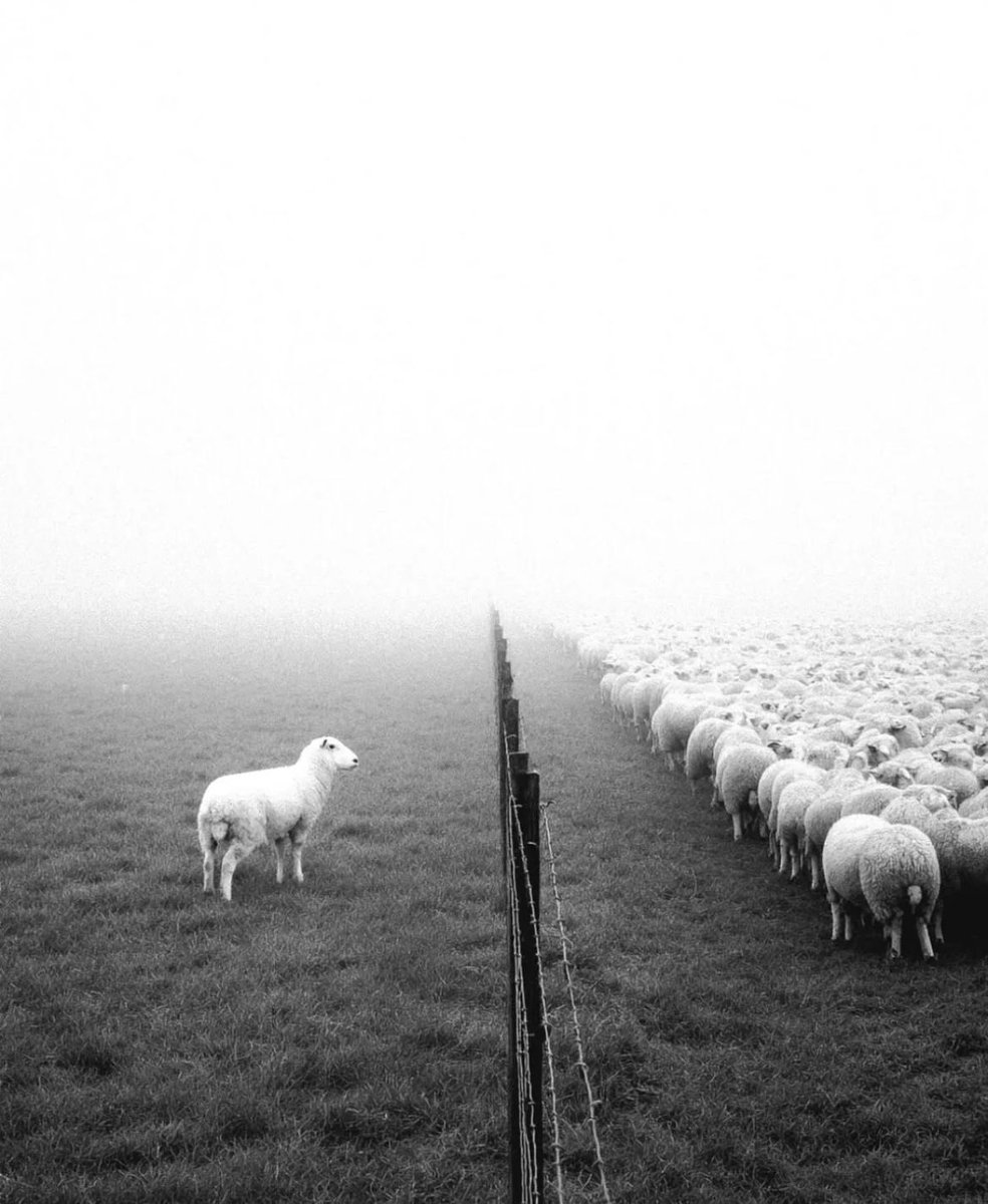 Bu fotoğraf ne anlatmak istiyor yorumlayabilir misiniz?