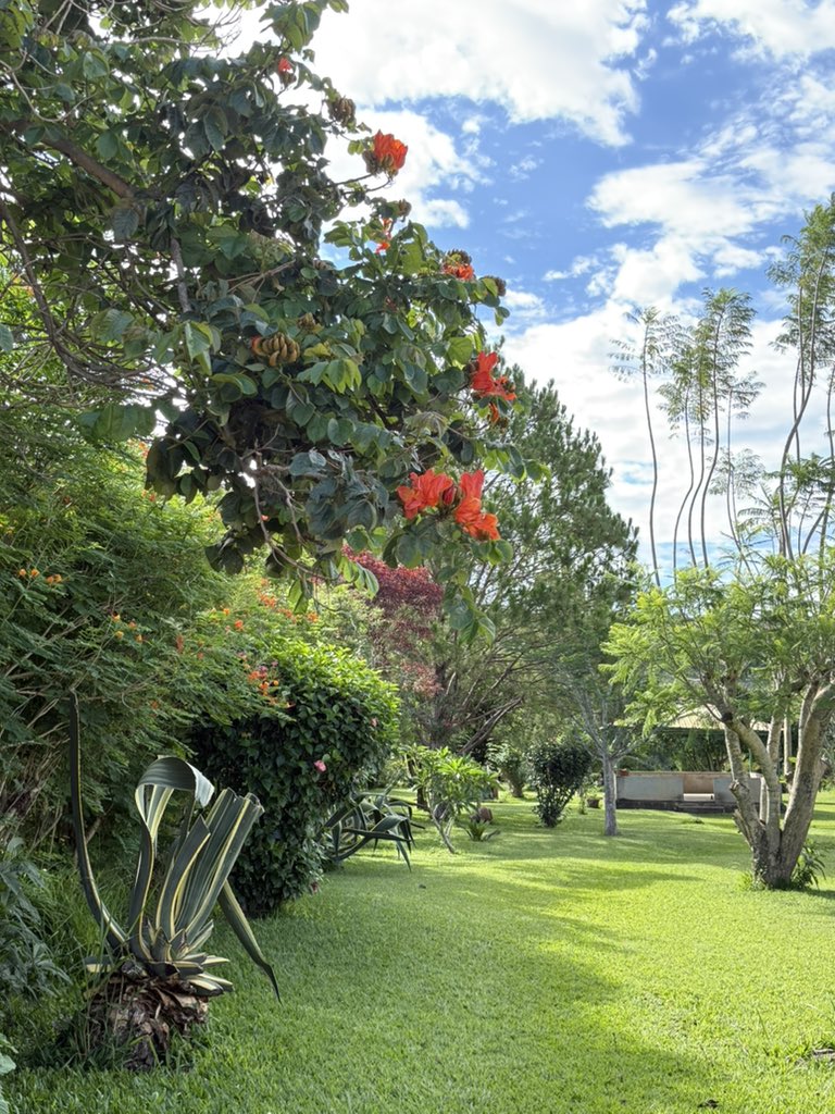 Celebremos y gocemos con su salvación, porque reposará sobre este monte la mano del Señor.