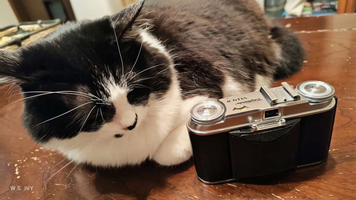 1939年製の Voigtlander VITO Ⅱ これだけ年を経ても✨️輝き続ける