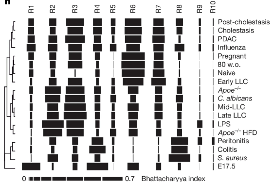 Perhaps most exciting is its potential in diagnostics. By projecting blood neutrophils from 18 different conditions, we created a “barcode” of disease states. This means circulating neutrophils could reveal the host’s pathophysiological state. 🩸✅