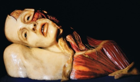 vampren_'s tweet image. anatomical specimen artwork by british sculptor joseph towne, mid-19th century / reanimated corpse puppet in frankenstein (2025) built by creature designer mike hill