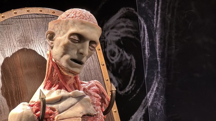 vampren_'s tweet image. anatomical specimen artwork by british sculptor joseph towne, mid-19th century / reanimated corpse puppet in frankenstein (2025) built by creature designer mike hill