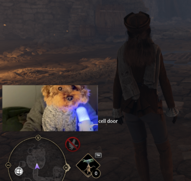 Elnarashka🧸 tweet media