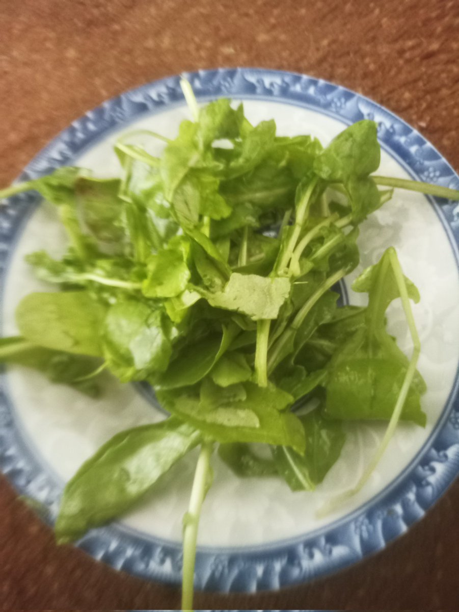 namer6549's tweet image. “This is all we found to eat today... Our little ones dream of a satisfying bite and a warm blanket. We extend our hands to you, for from your hearts life begins anew.”

gofund.me/d552bc6b