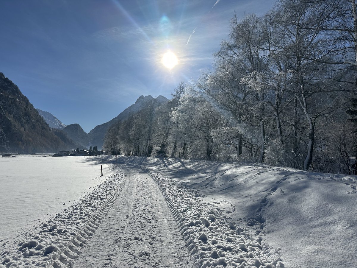 Daniel Bachmann tweet media