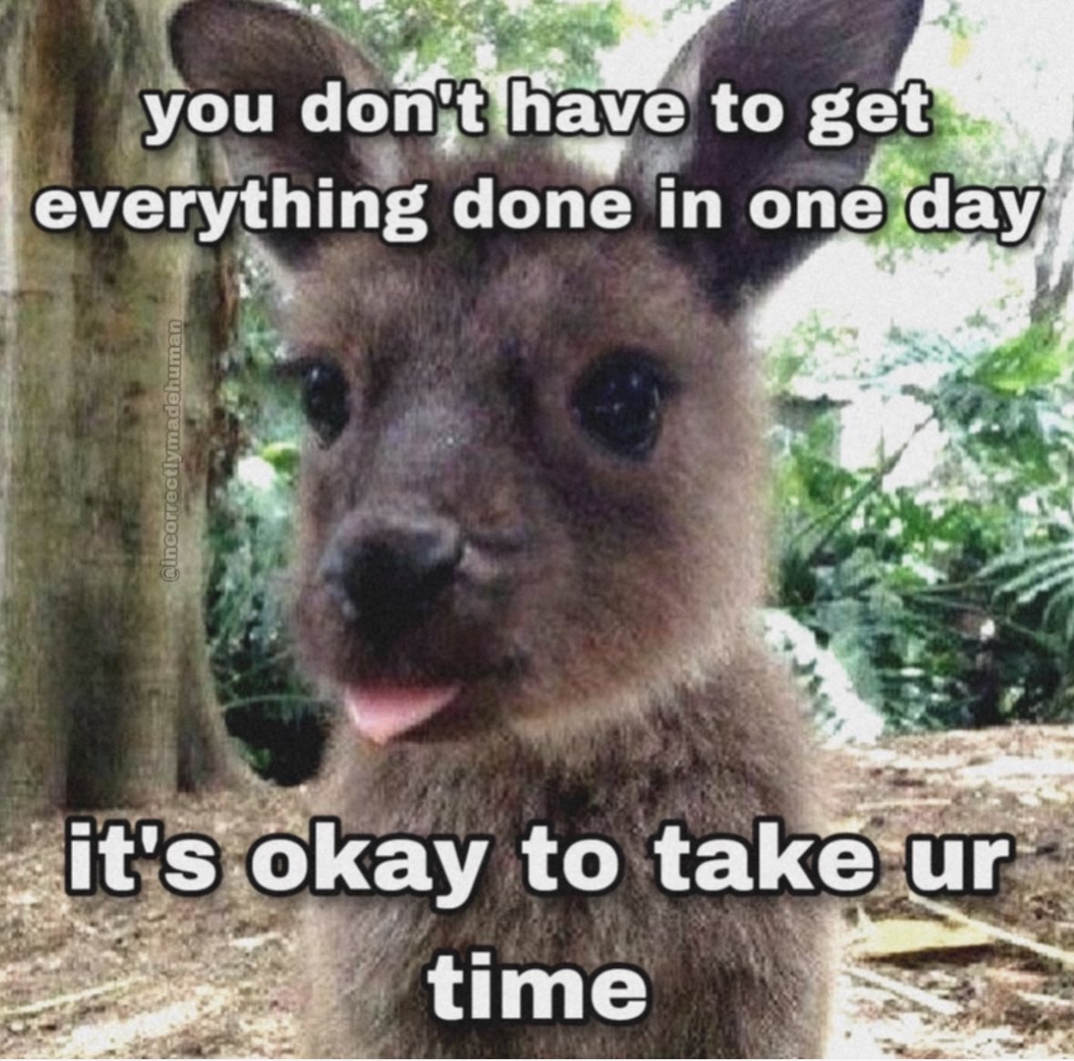 northstardoll's tweet image. 