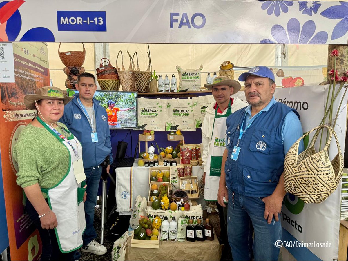 FAO_Colombia's tweet photo. 🌱Estamos en #Bioexpo junto a #MercaPáramo familias productoras que demuestran cómo la agricultura de bajo impacto protege el Páramo de Santurbán y fortalece sus medios de vida. Esta es una ventana para compartir estos grandes logros @MinAgricultura @Corponor @CARCDMB https://t.co/CA8sHk5gHS