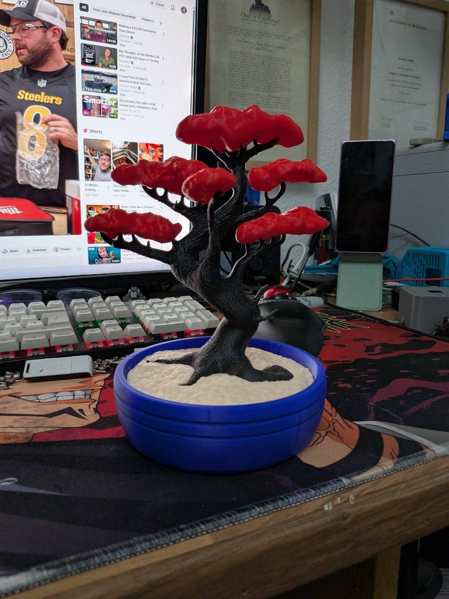 Domenico Lamberti tweet media