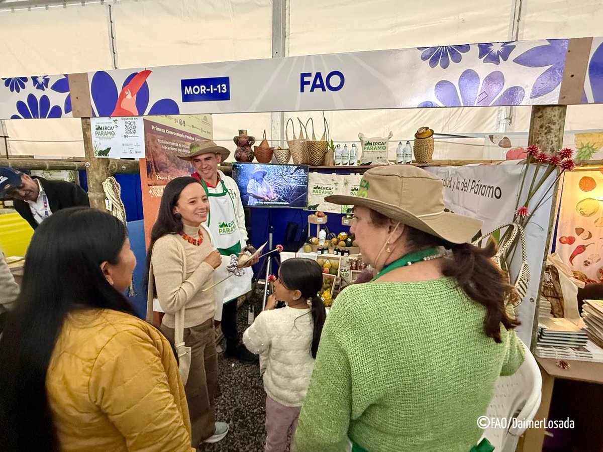 FAO_Colombia's tweet photo. 🌱Estamos en #Bioexpo junto a #MercaPáramo familias productoras que demuestran cómo la agricultura de bajo impacto protege el Páramo de Santurbán y fortalece sus medios de vida. Esta es una ventana para compartir estos grandes logros @MinAgricultura @Corponor @CARCDMB https://t.co/CA8sHk5gHS