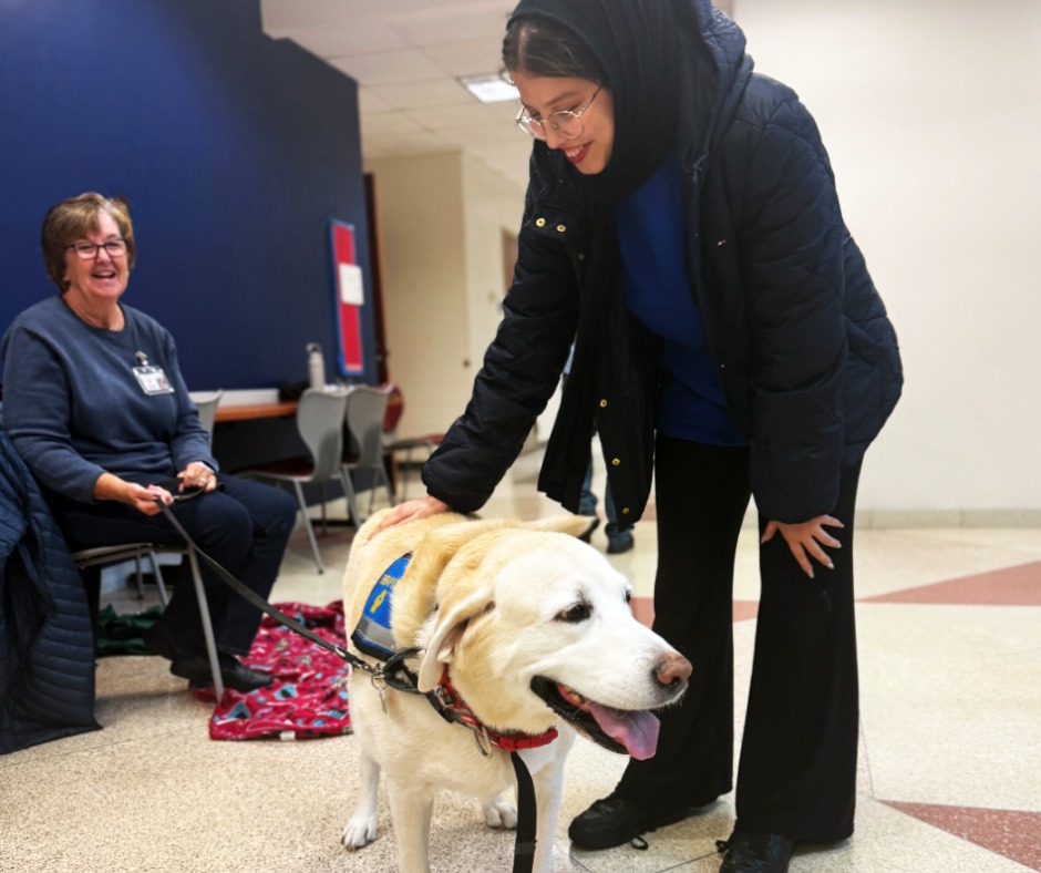 VA's Comm Colleges tweet media