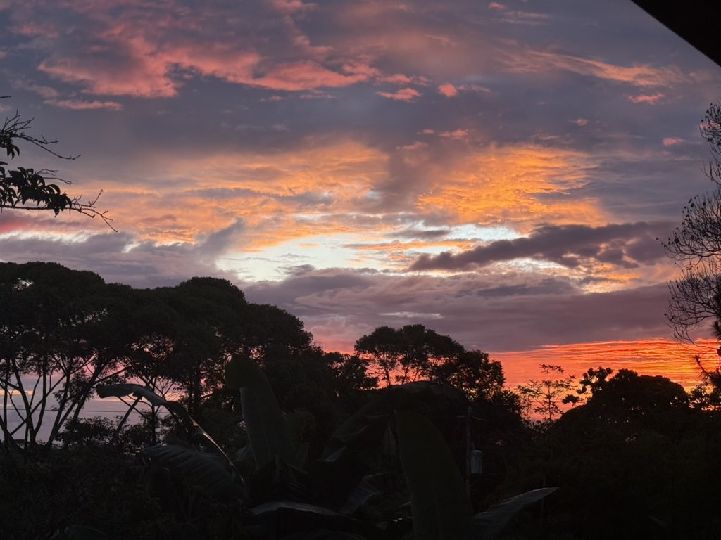 hennool's tweet image. Moved house and we are so happy about it 🦋