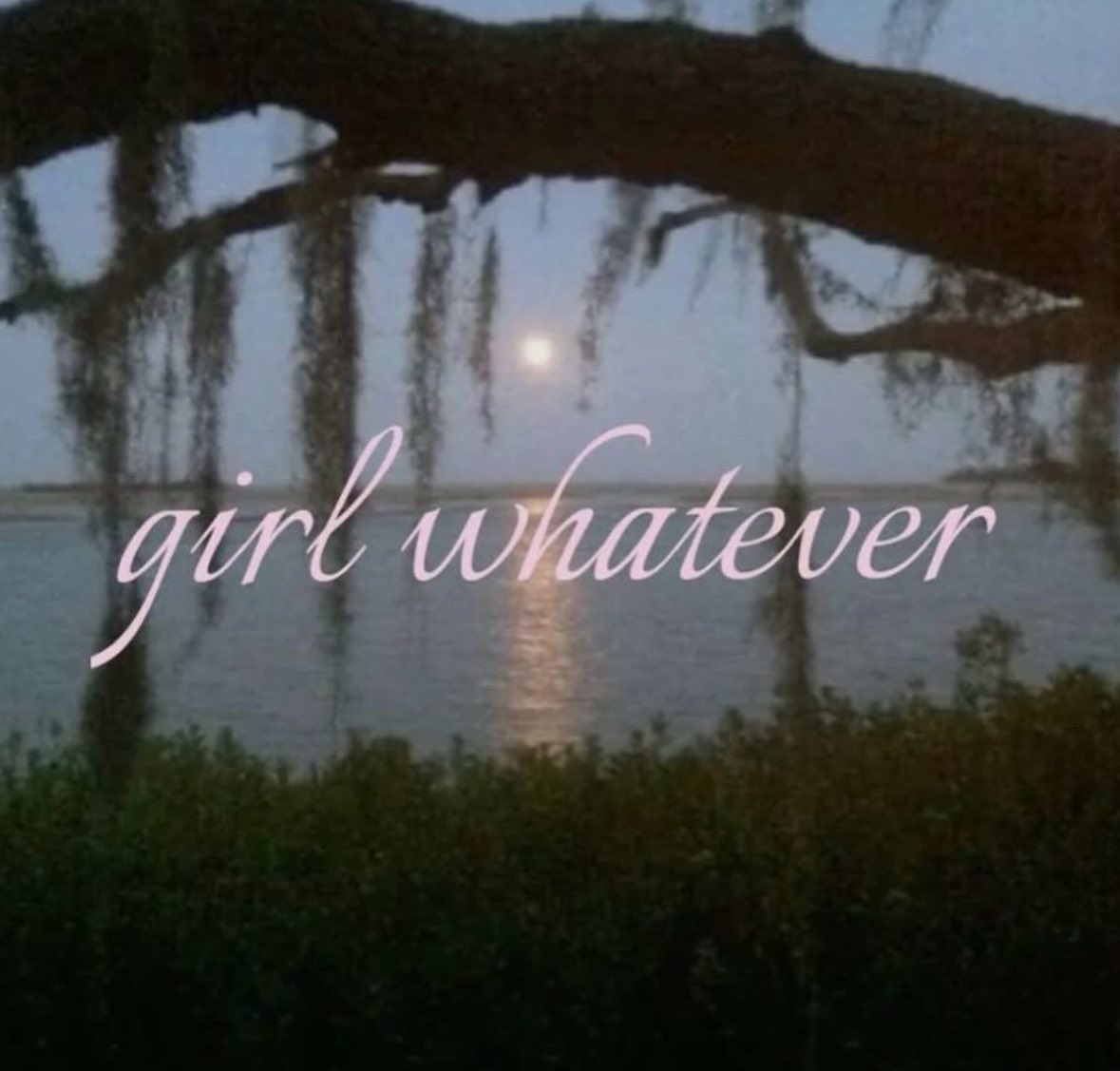 northstardoll's tweet image. 