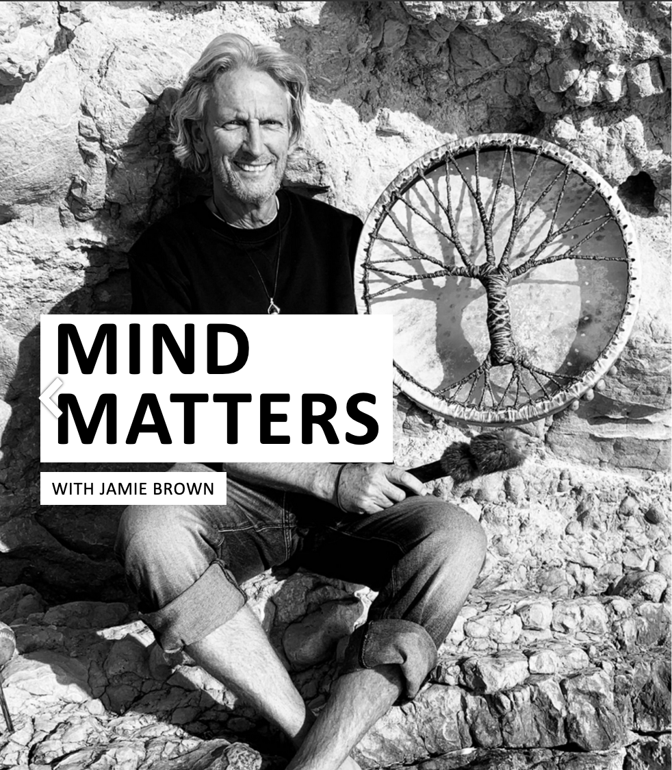 Jamie Vida tweet media