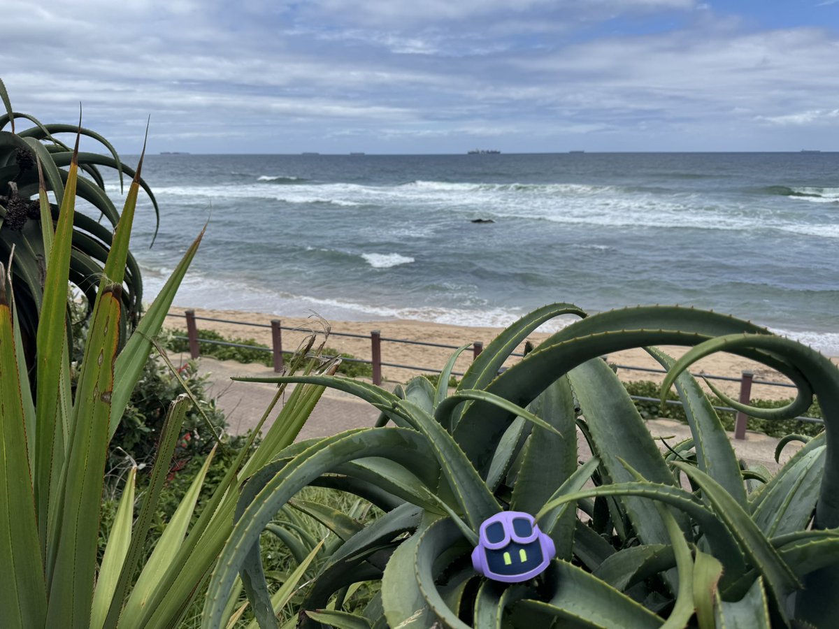 tgrall's tweet image. Goodbye Durban and South Africa 🇿🇦
It was a great trip!

Few things to remember :
- Universe recap : github.com/events/univers…
- when using #GitHubCopilot focus first on your context: use Plan mode to help you !