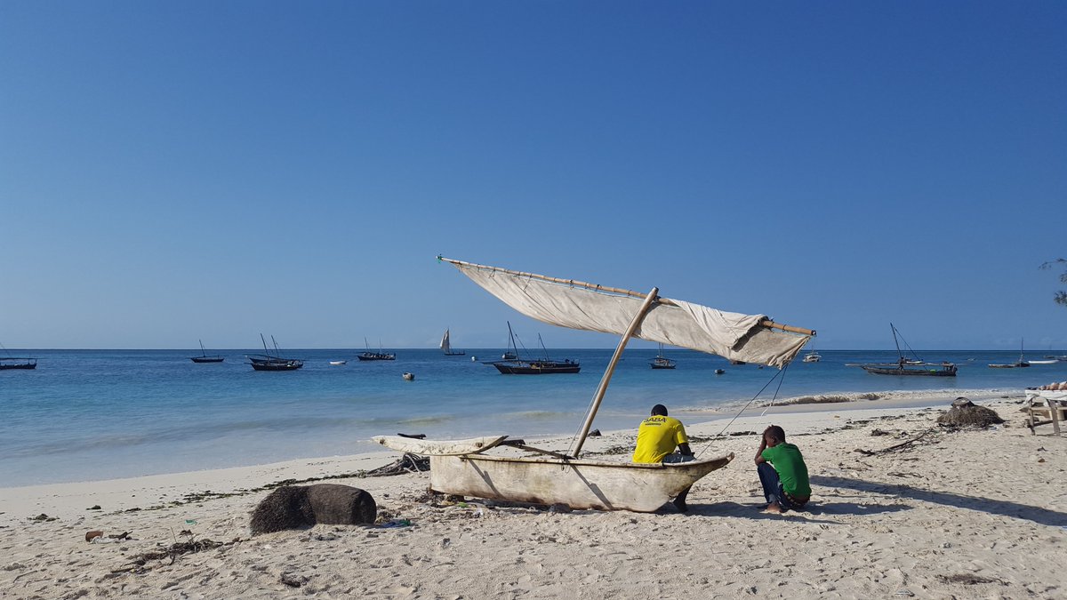 NOCnews's tweet photo. A new study encourages a fresh approach to #ClimateAdaptation by blending local knowledge with science.
Researchers from NOC &amp; partners in Africa &amp; the Pacific show how inclusive planning can tackle threats like habitat loss &amp; destructive fishing.
https://t.co/vujiSoVpRh https://t.co/cx5ciX2mpX