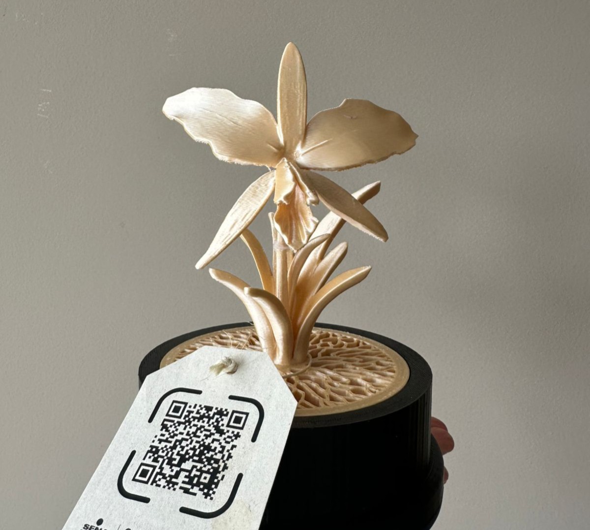 Recibimos el Premio “Alianzas con Resultados 2025” en la categoría Alianzas Innovadoras, otorgado por <a href="/APCColombia/">APC Colombia</a>  Colombia y entregado por <a href="/FordFoundation/">Ford Foundation</a>. 

Este reconocimiento destaca iniciativas que están transformando la cooperación mediante modelos financieros y